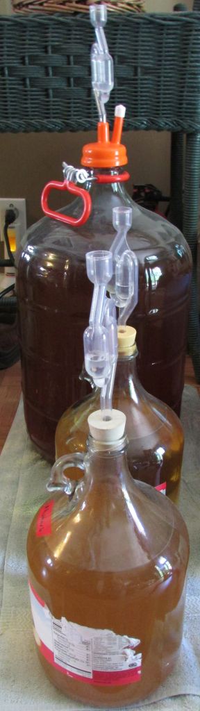 Carboys with airlocks