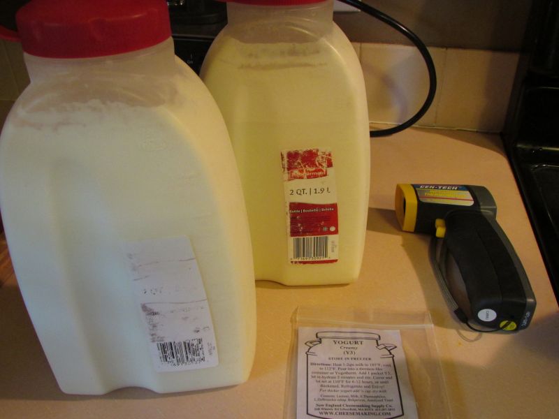 Goat milk, Y3 culture, and infrared thermometer