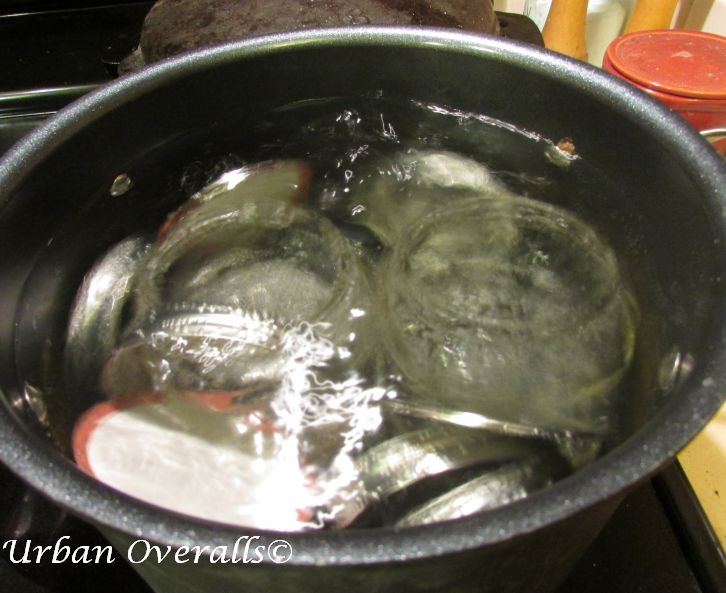 sterilizing jars, lids, and rims