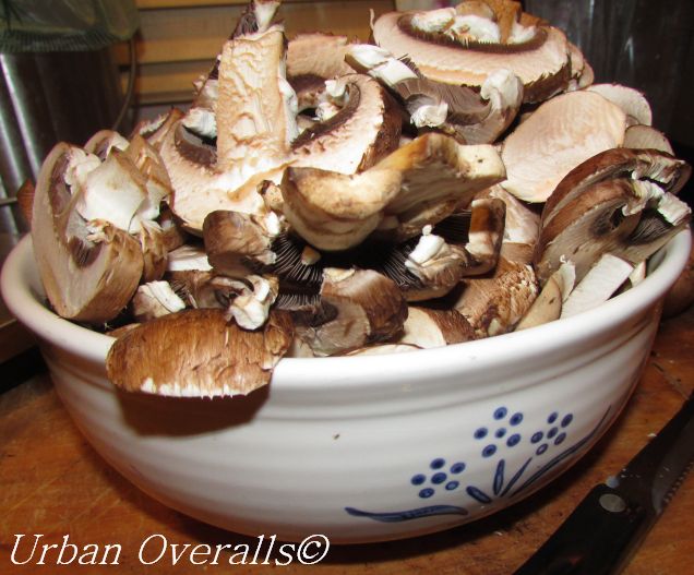 sliced cremini mushrooms