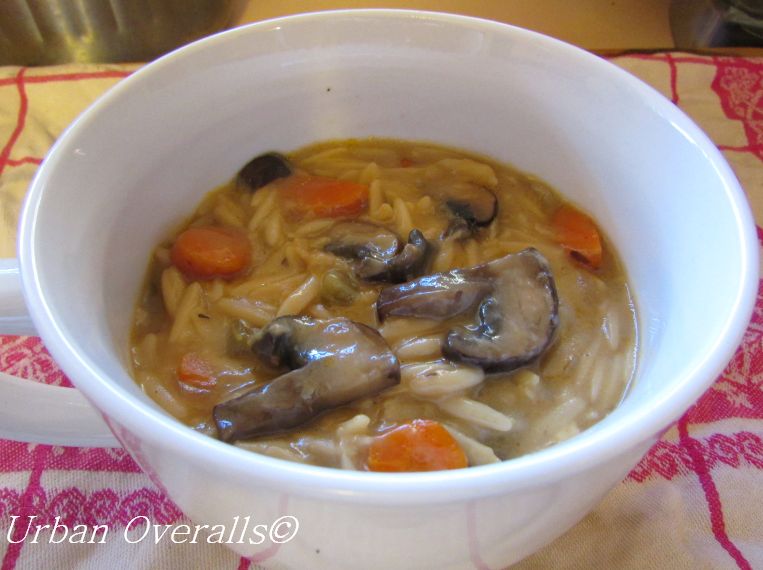 orzo and vegetable soup