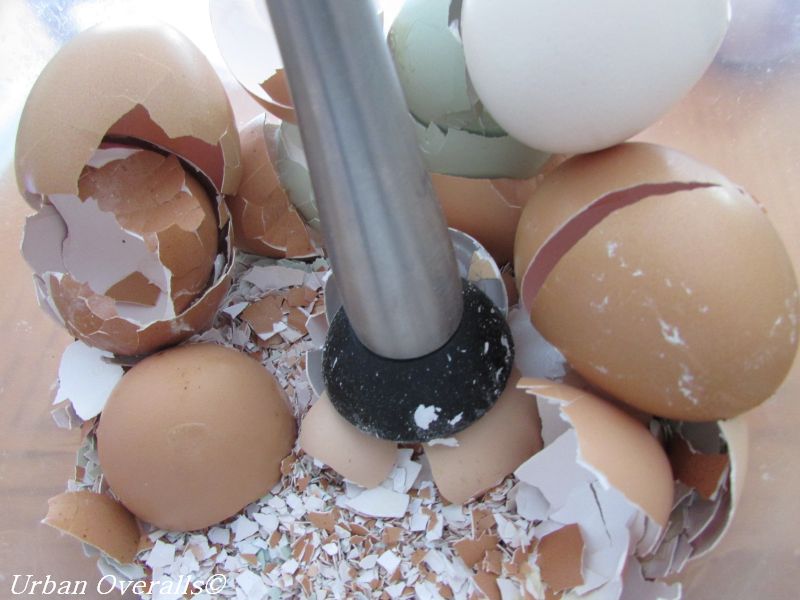 crushing eggshells