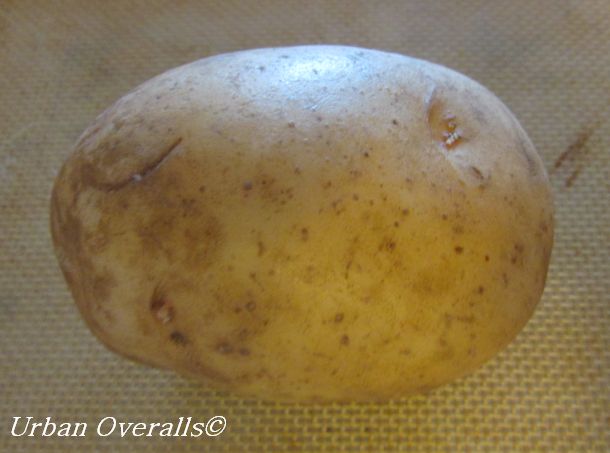 a handsome potato