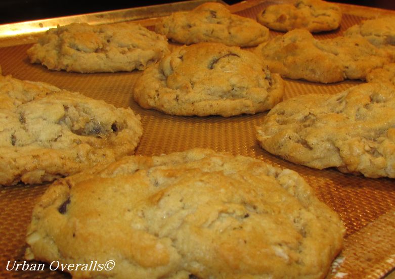 hearty homestead cookies
