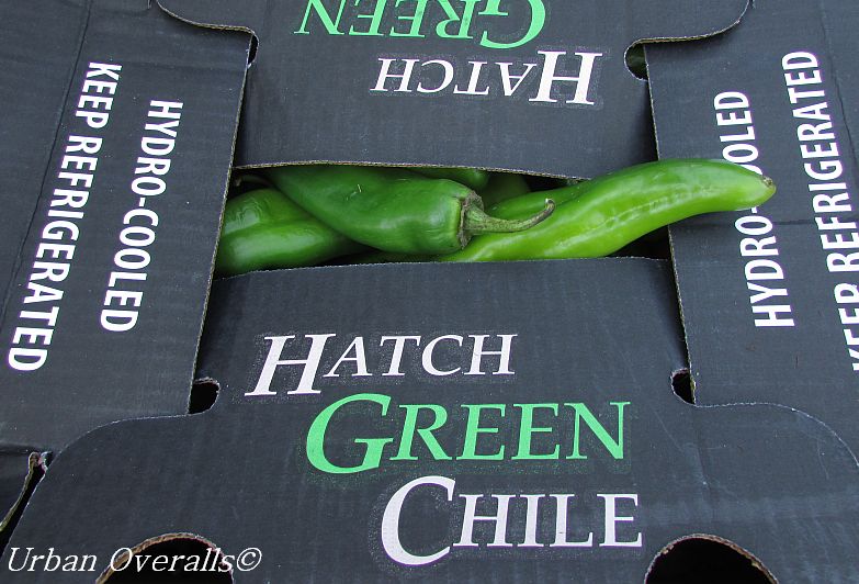 case of Hatch Green Chiles
