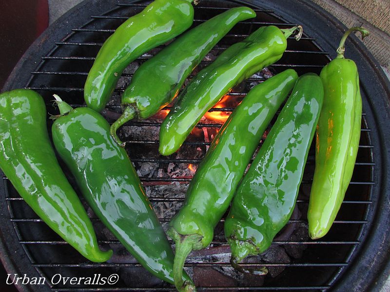 chiles in the smoker
