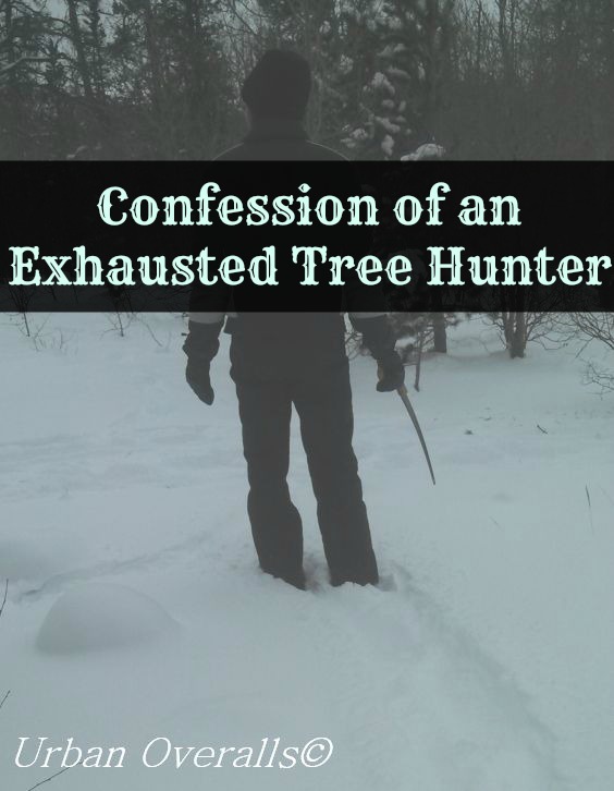 exhausted Christmas tree hunter