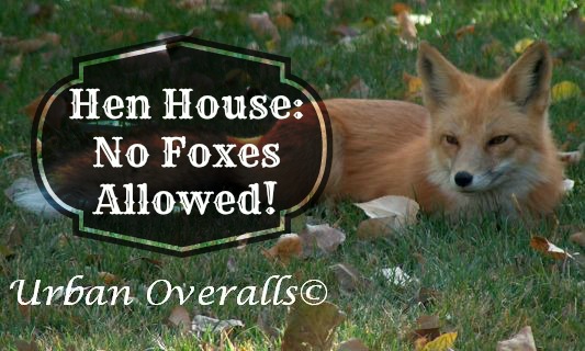 keep foxes out of the hen house