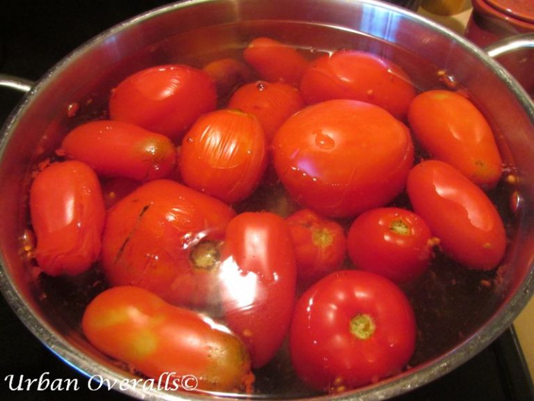 Seeds The Difference Between Heirloom and Organic • Urban Overalls