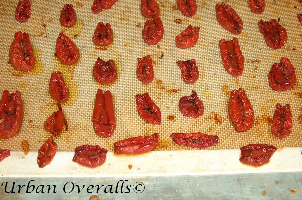 My Dehydrator Died: Now What?