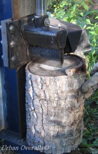 Storing and Drying Firewood for Winter • Urban Overalls
