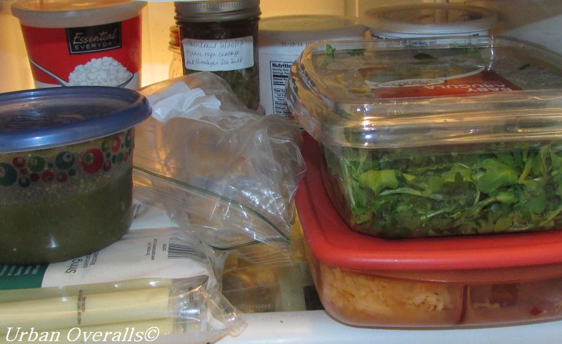 10 Steps to Prevent Food Waste