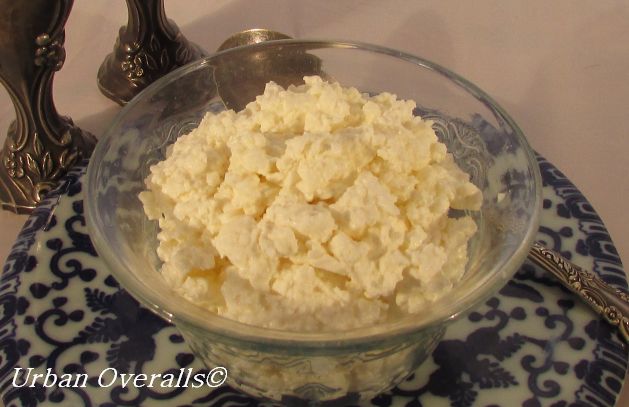Cottage Cheese at Home: Better than Store Bought