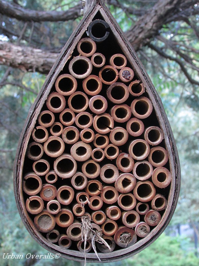 Creating Solitary Bee Hotels