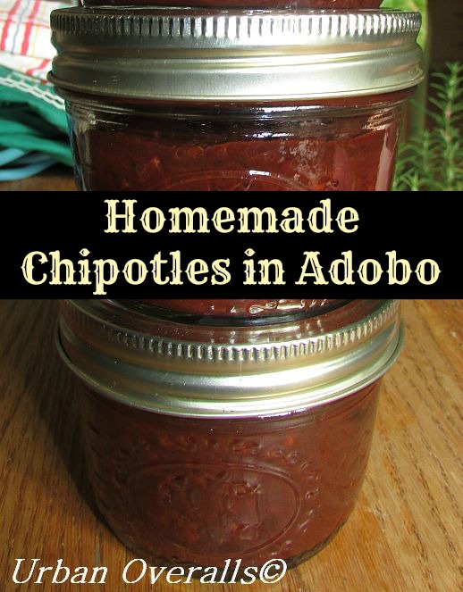 Homemade Chipotles in Adobo
